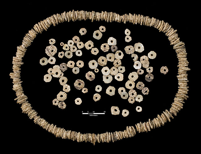 Mussel Shell Beads  Historic Jamestowne
